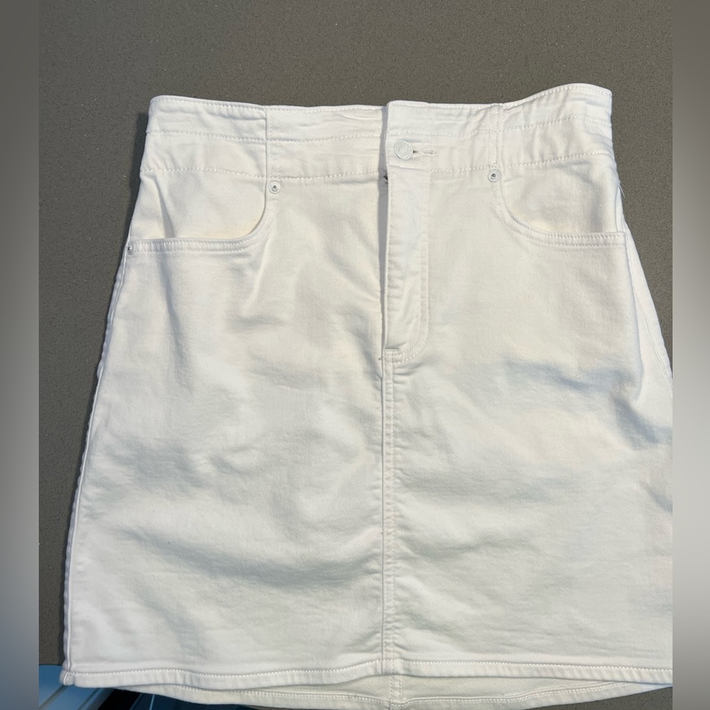 Express skirt
